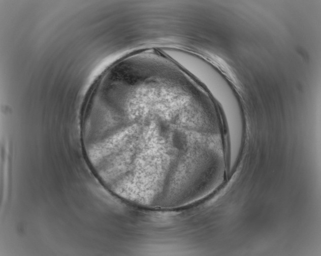 X0000090631184200708071239