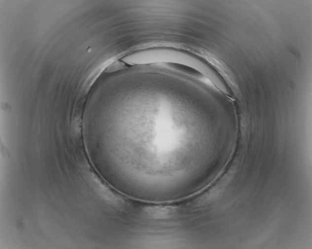 X0000090631185200708071239