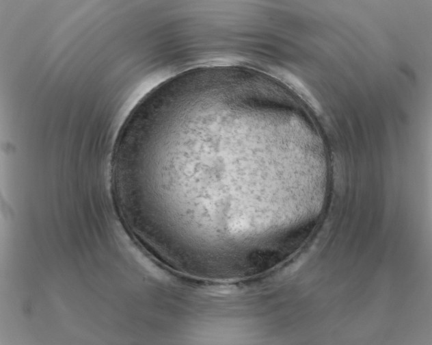 X0000090631186200708071239