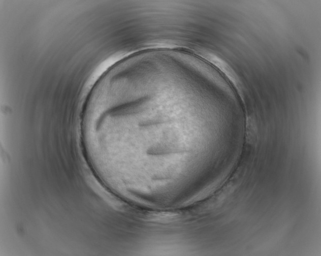 X0000090631187200708071239