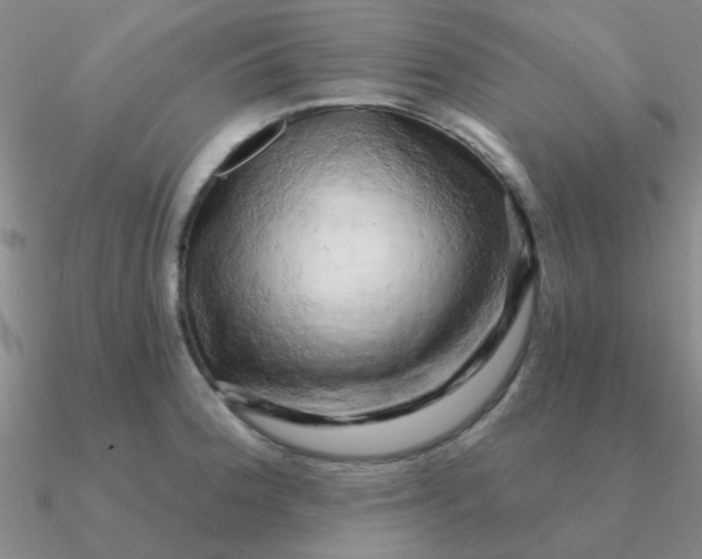 X0000090631188200708071239