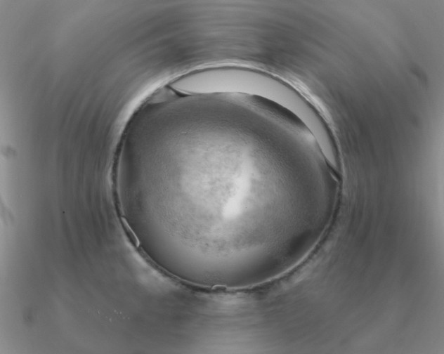 X0000090631189200708071239