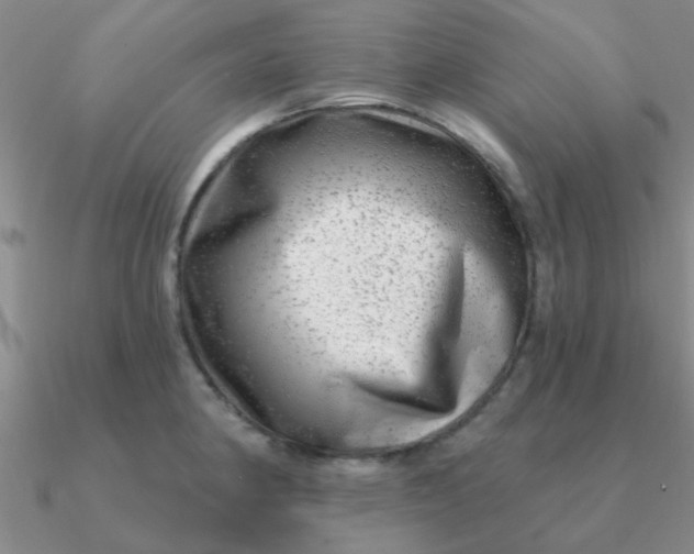 X0000090631190200708071239