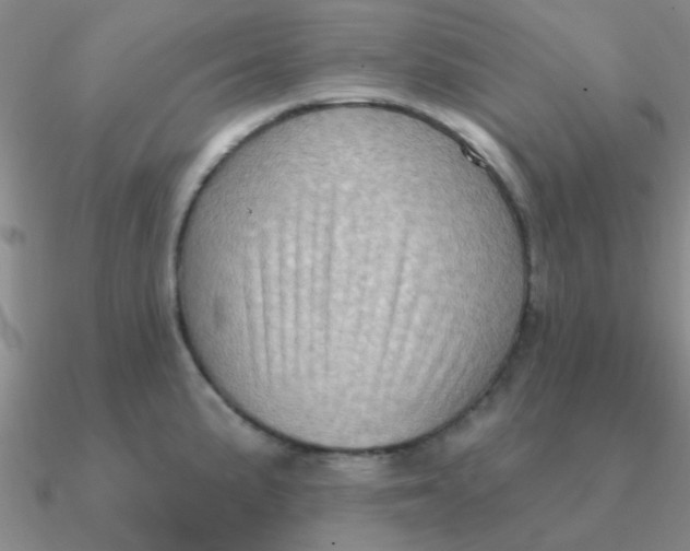 X0000090631191200708071239