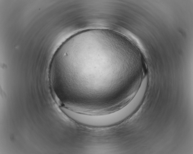 X0000090631192200708071239