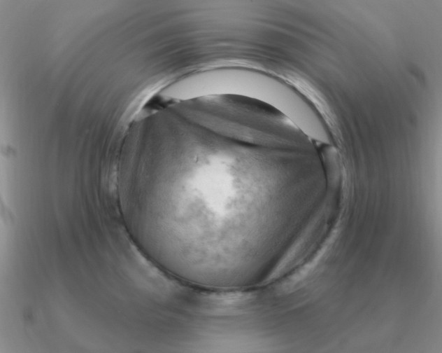 X0000090631193200708071239