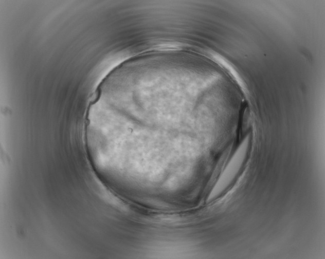 X0000090631194200708071239