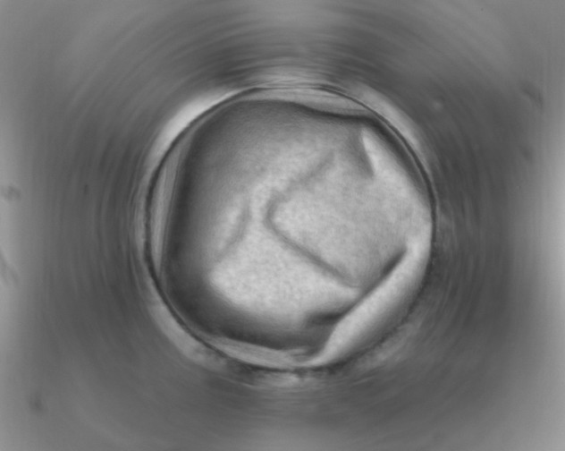 X0000090631195200708071239