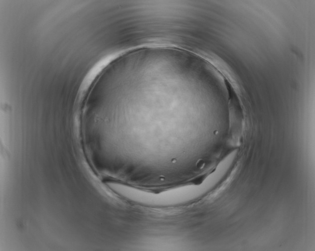 X0000090631196200708071239