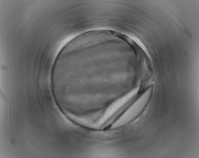 X0000090631197200708071239