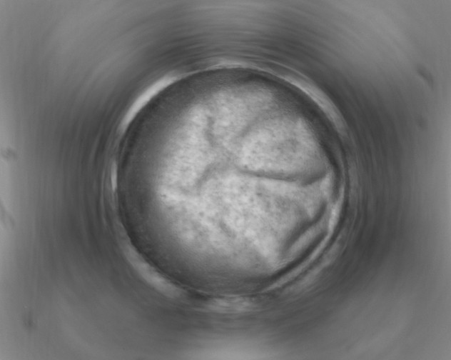 X0000090631198200708071239