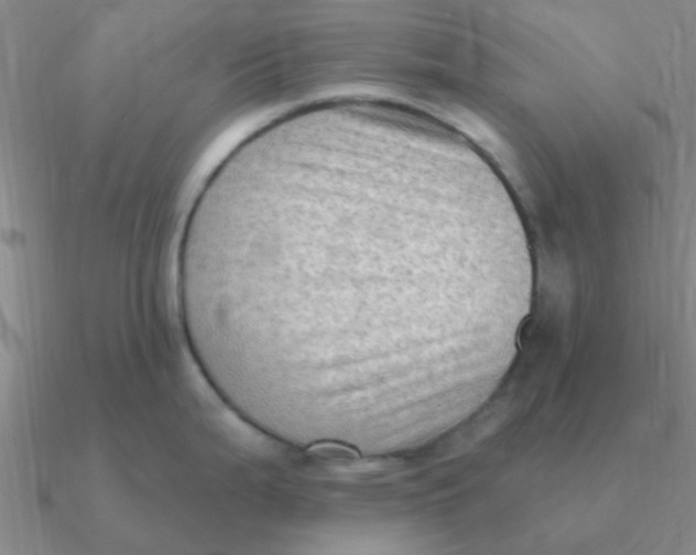 X0000090631199200708071239