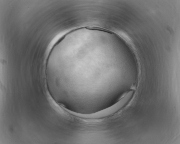 X0000090631200200708071239