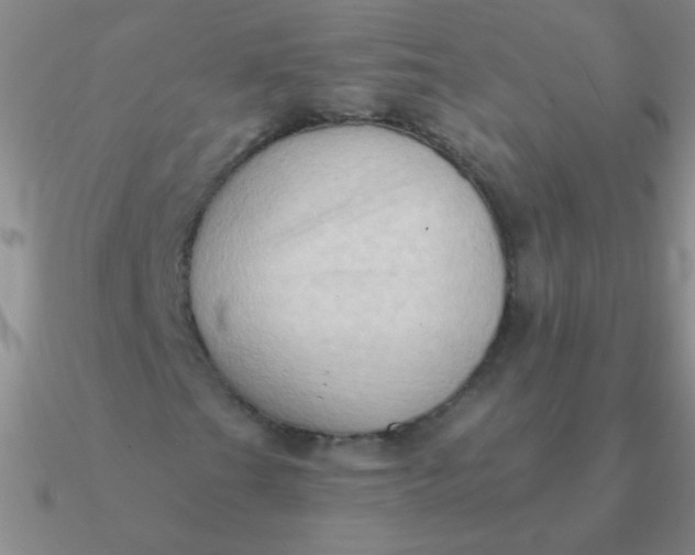 X0000090631201200708071238