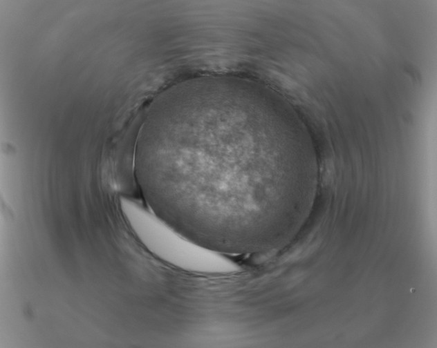 X0000090631202200708071238