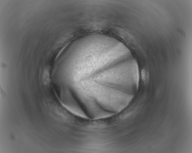 X0000090631203200708071239