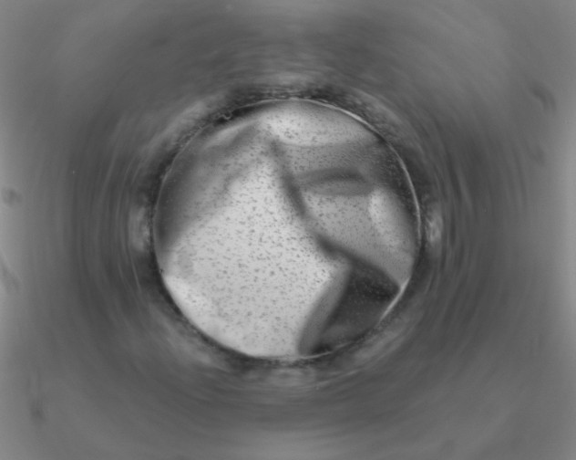 X0000090631204200708071239