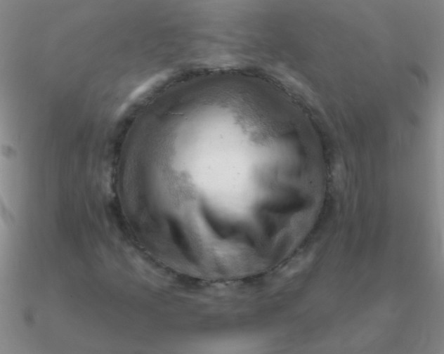 X0000090631205200708071239