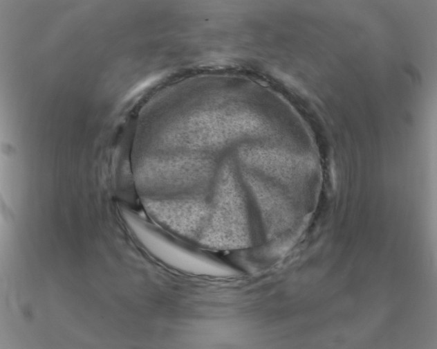 X0000090631206200708071239