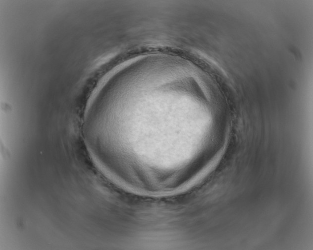 X0000090631207200708071239