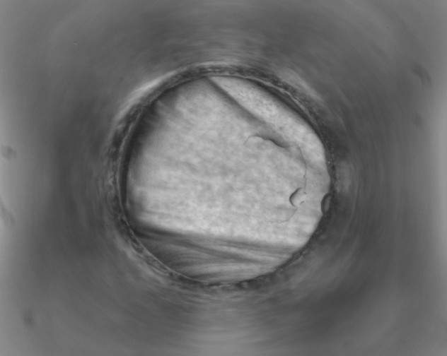 X0000090631208200708071239