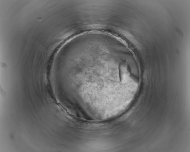 X0000090631209200708071239