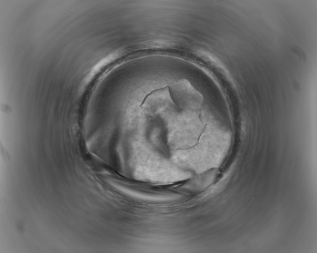 X0000090631210200708071239