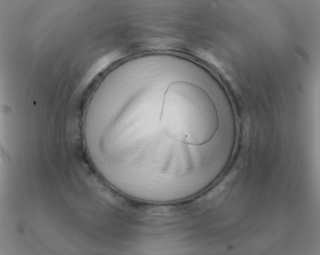 X0000090631211200708071239