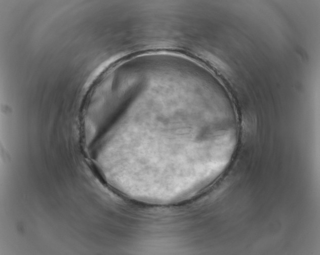 X0000090631212200708071239