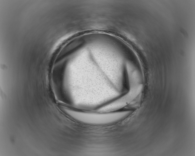 X0000090631214200708071239