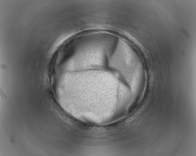 X0000090631215200708071239