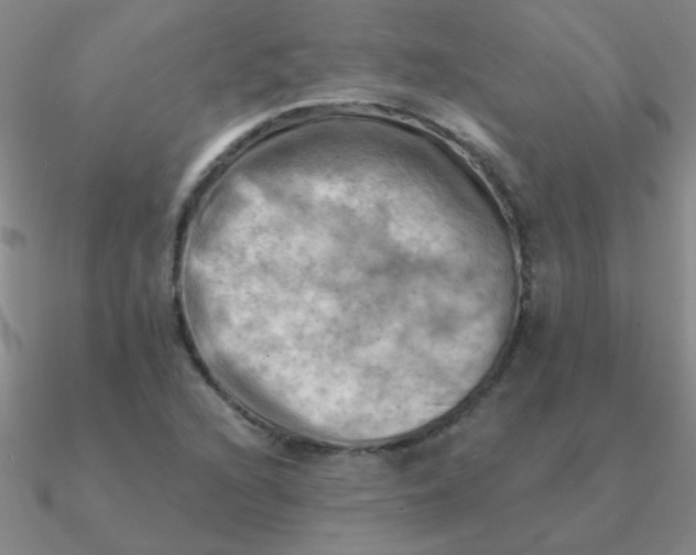 X0000090631216200708071239