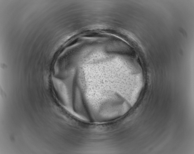 X0000090631217200708071239