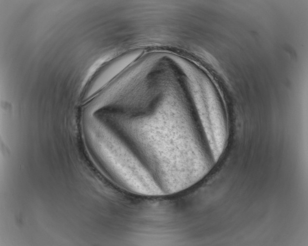 X0000090631218200708071239