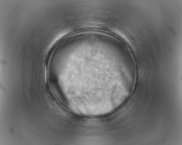 X0000090631219200708071239