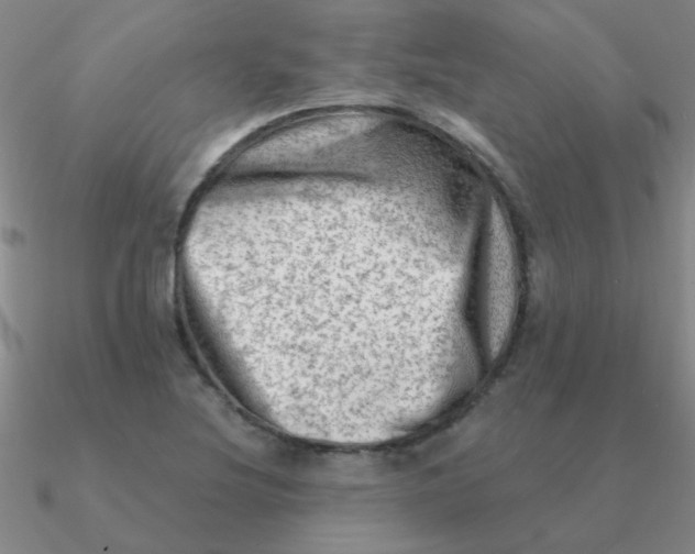 X0000090631220200708071239