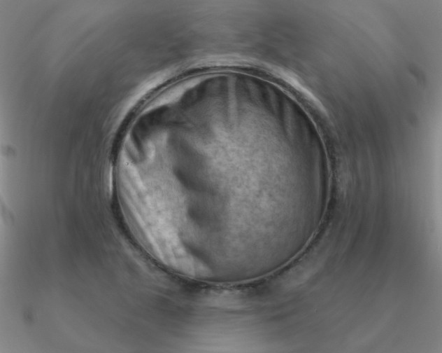 X0000090631221200708071239