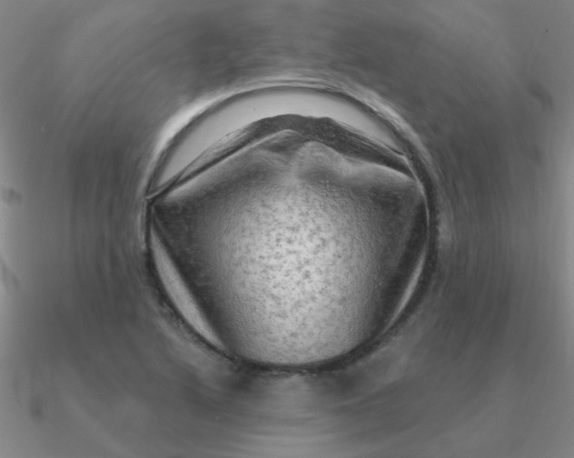 X0000090631222200708071239