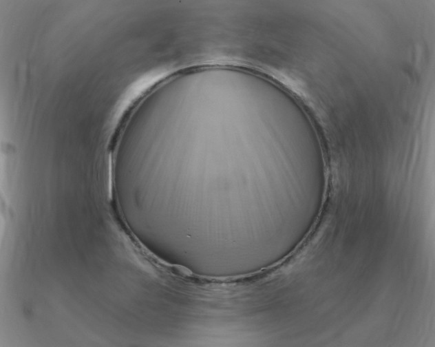 X0000090631223200708071239