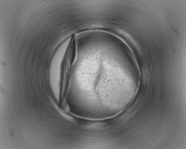 X0000090631225200708071239