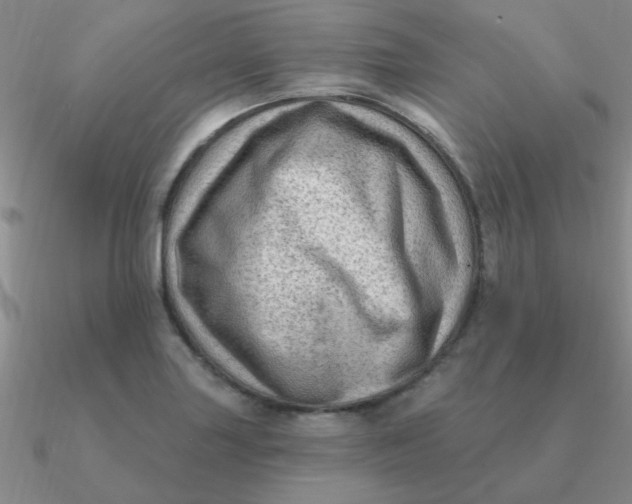 X0000090631227200708071239