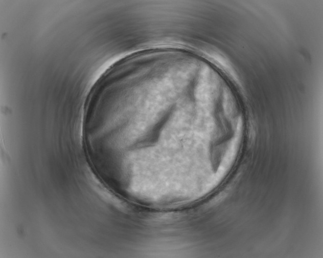 X0000090631228200708071239