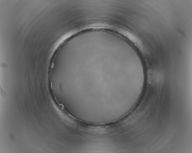 X0000090631229200708071239