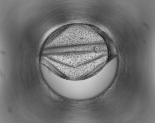 X0000090631230200708071239