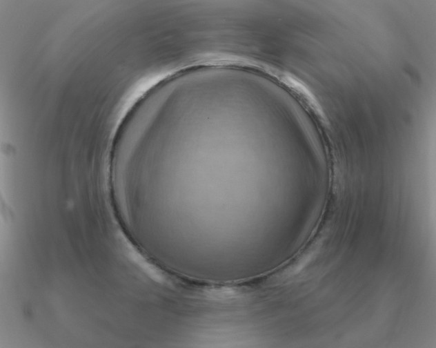 X0000090631231200708071239