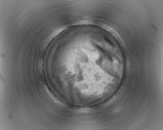 X0000090631233200708071239