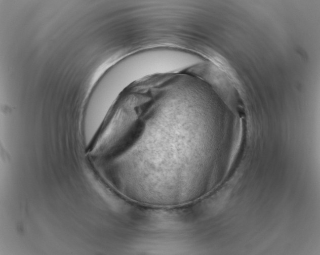 X0000090631234200708071239