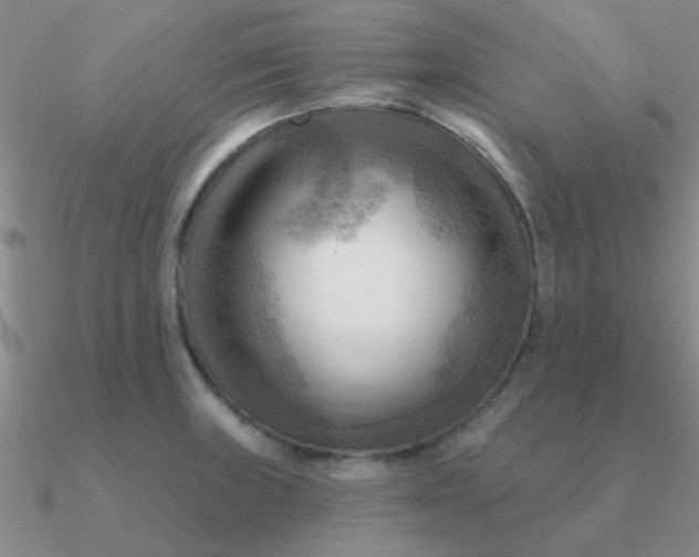 X0000090631235200708071239