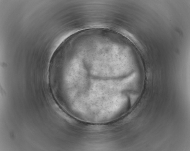 X0000090631236200708071239