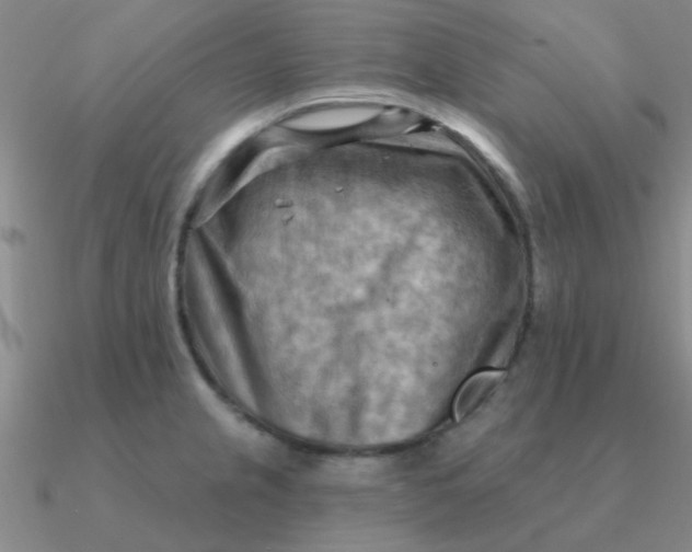 X0000090631237200708071239